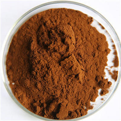 Chaga Extract Extracto de Chaga