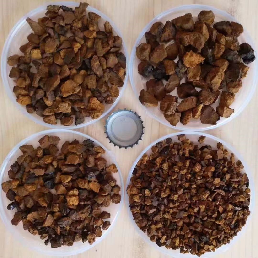 Chaga Mushroom Extract Powder Wholesale Polvo de extracto de hongo Chaga al por mayor