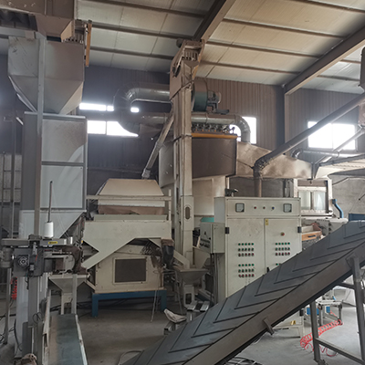 Cassia Seed Tea Supplier Proveedor de té de semillas de casia