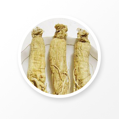 Panax ginseng C. A. Meyer Panax ginseng CA Meyer