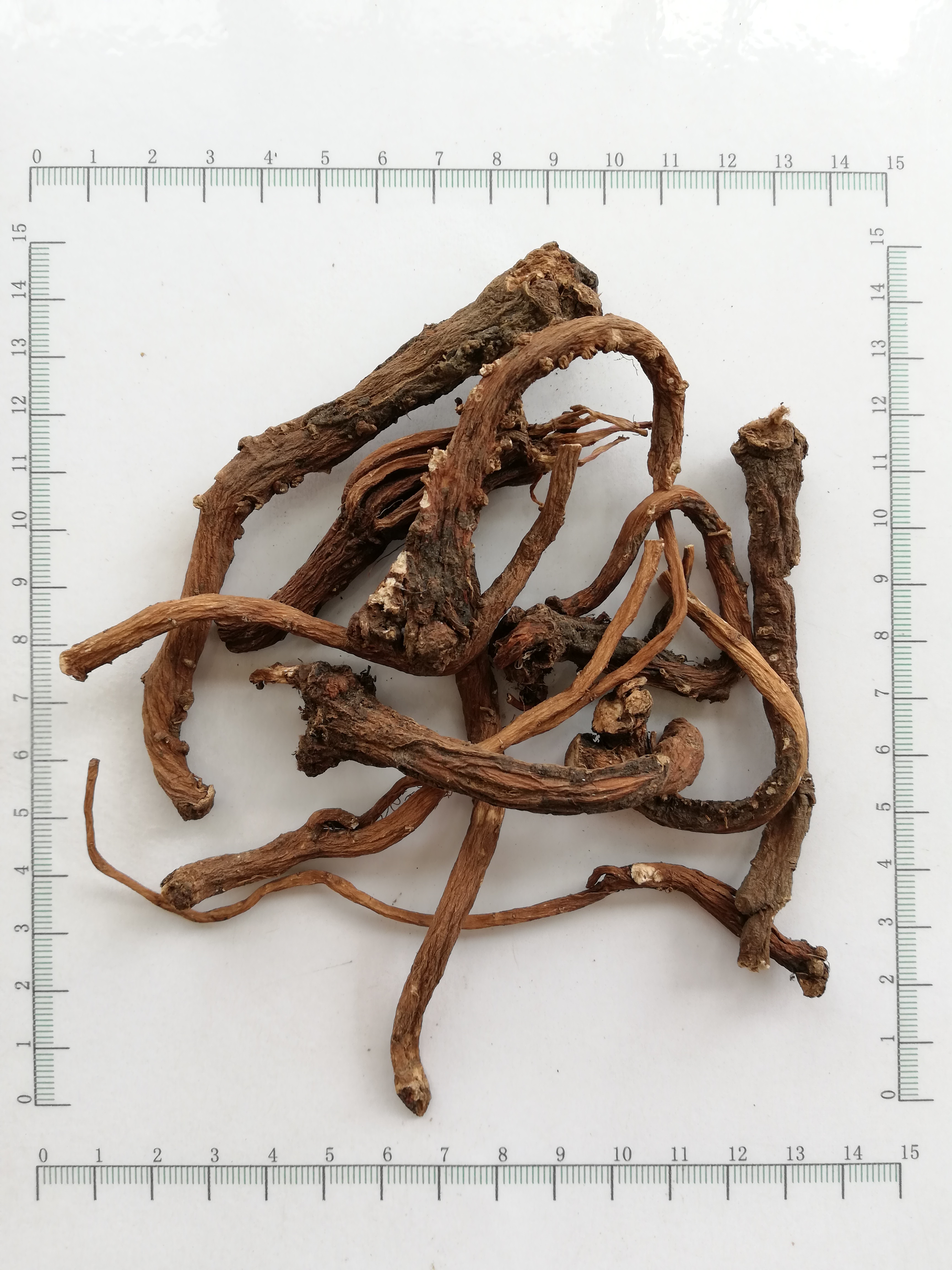 Dandelion Root Raíz de diente de león