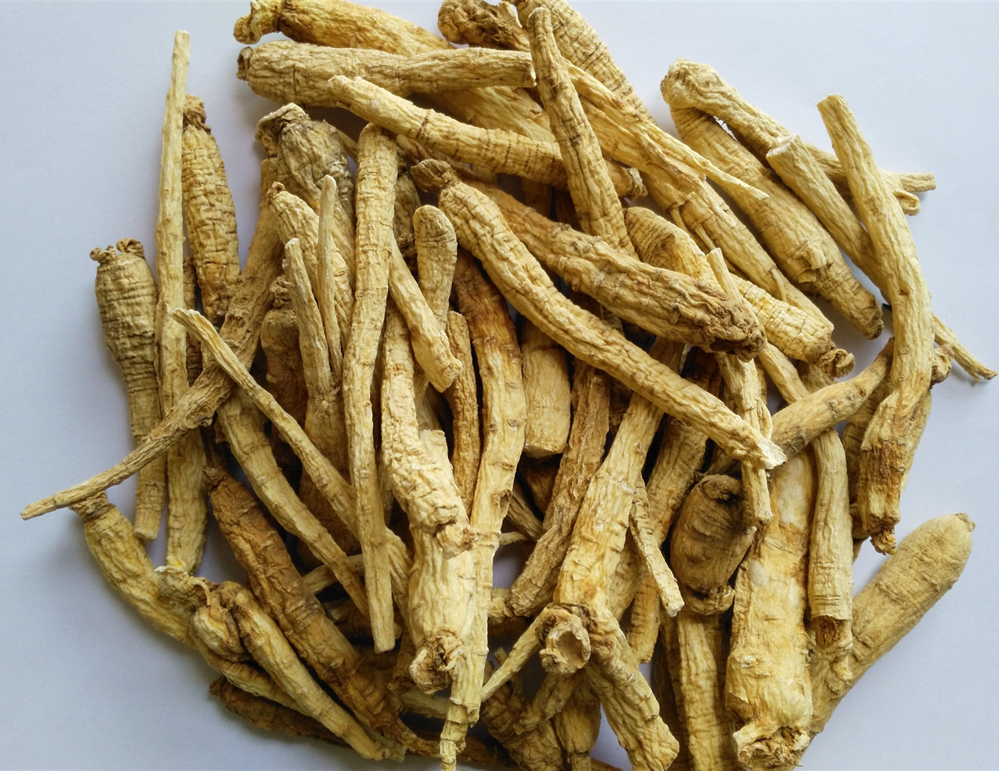 Ginseng Root Powder Price Precio del polvo de raíz de ginseng
