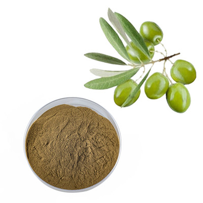 Revelando los secretos del extracto de oliva: mejorando su salud y bienestar