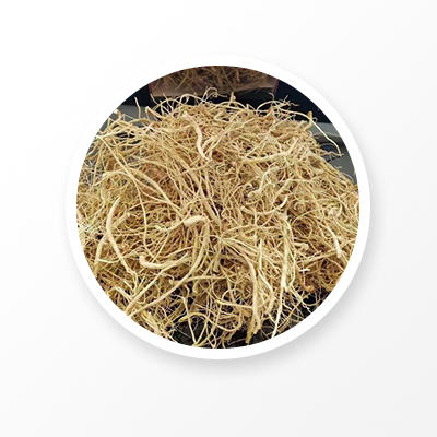 Medicina de hierba china de raíz de ginseng blanco 