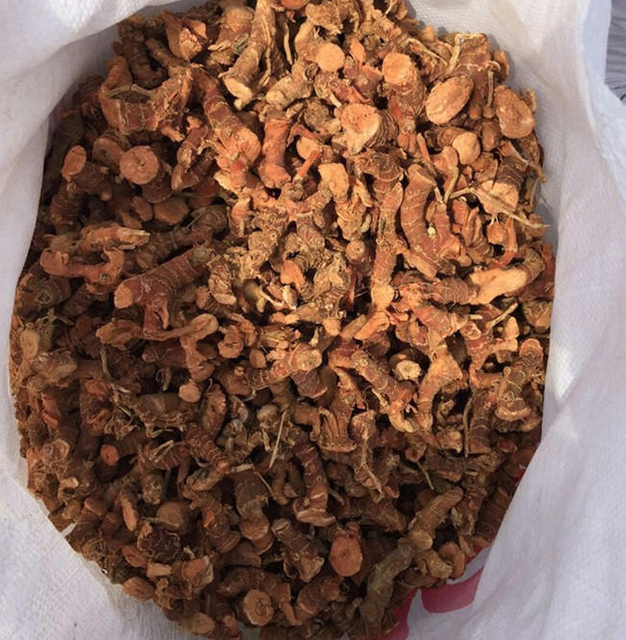 Especias orgánicas de raíz de galanga