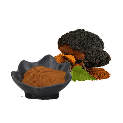 Hongo Chaga