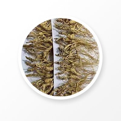 Raíz de ginseng salvaje, 'Linxia Ginseng' chino