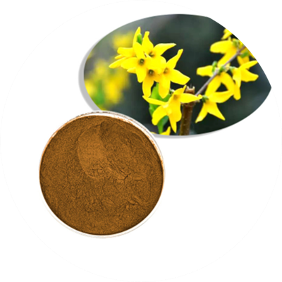 Extracto de hierba de San Juan 