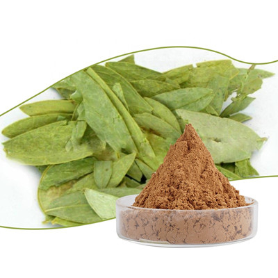 Extracto de hoja de sen 