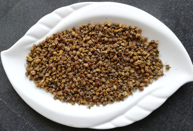 Té de flor de crisantemo silvestre