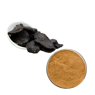 Extracto de raíz de Foti 