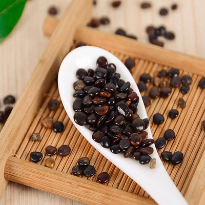 Semilla de Hovenia Dulcis