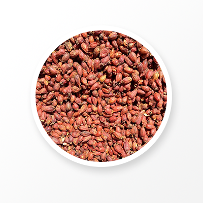 Fructus Gardeniae Fruta