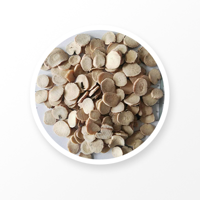 Raíz de peonía blanca