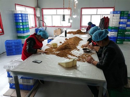 Dátil Rojo Orgánico