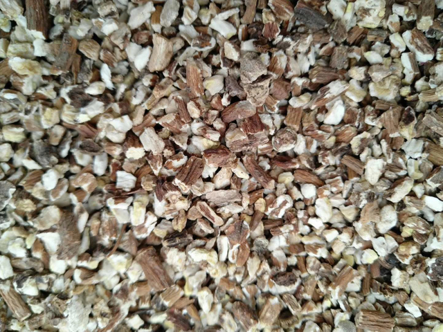 Raíz de diente de león orgánico 