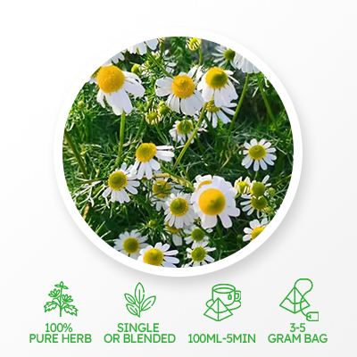 Té adelgazante de manzanilla