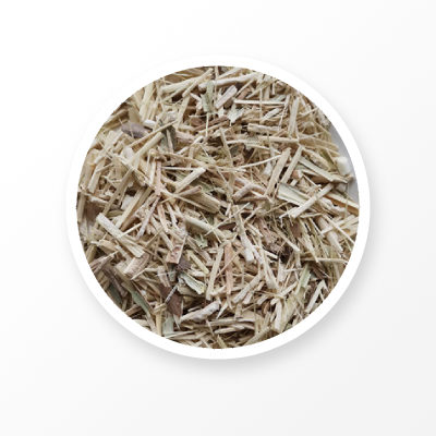 Raíz orgánica de Eleutherococcus Senticosus