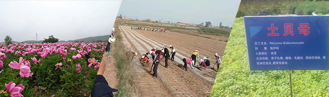 company - NATURECHOICE