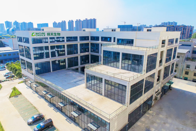 Té de flor de jazmín Té verde suelto