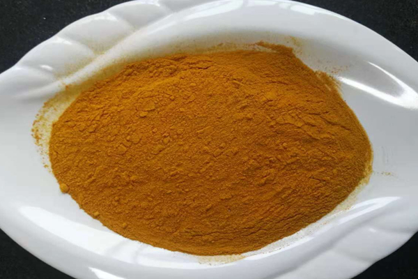 Polvo de raíz de cúrcuma