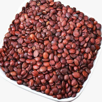 Semen Ziziphi Spinosae