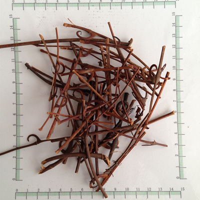 Ramulus uncariae cum uncis