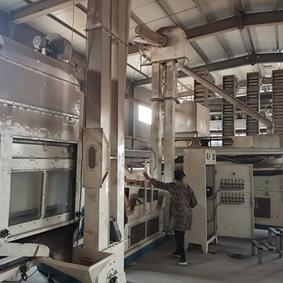 Té adelgazante de semillas de casia