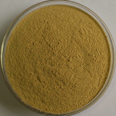 Extracto de raíz de astrágalo orgánico