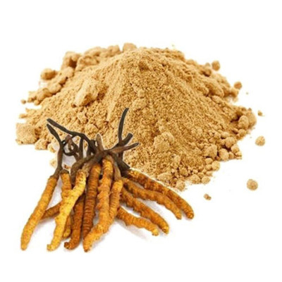 Extracto de Cordyceps 