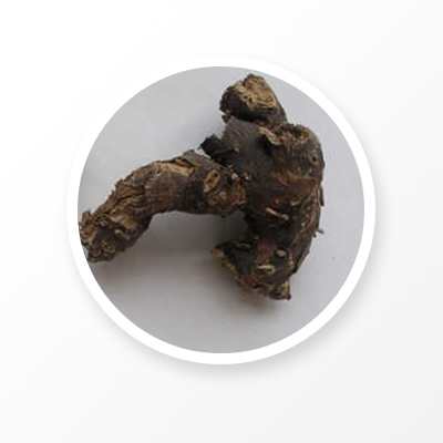 Raíz de cohosh negro