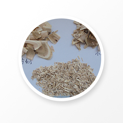 Raíz de eleuterococo senticosus